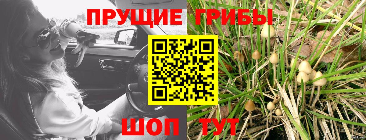 Псилоцибиновые грибы мухоморы  Вход с VPN  купить закладку  Тобольск  Галлюциногенные грибы прущие грибы 