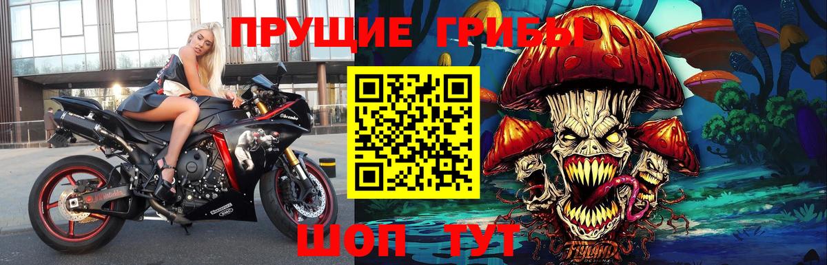 Галлюциногенные грибы прущие грибы Тобольск